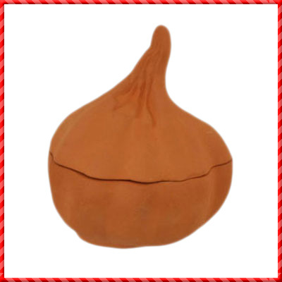 Garlic Keeper-023