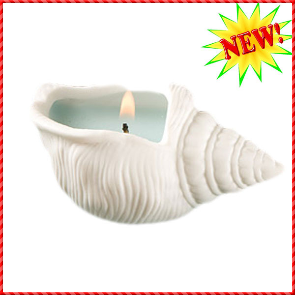 conch shell-025