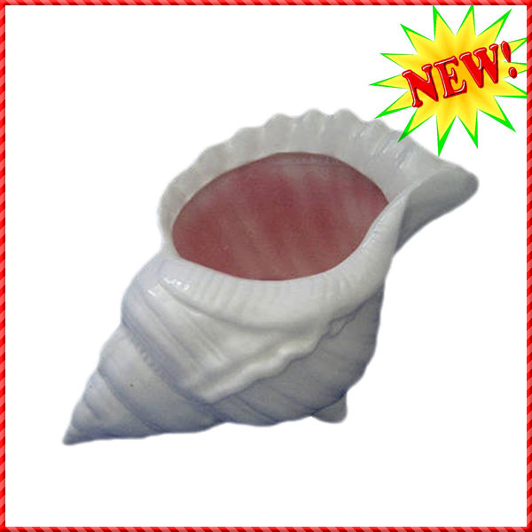 conch shell-027