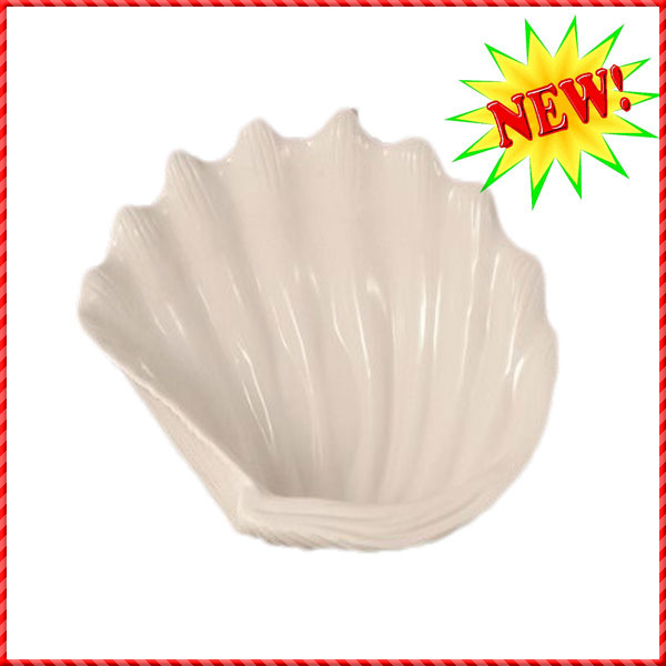 conch shell-028