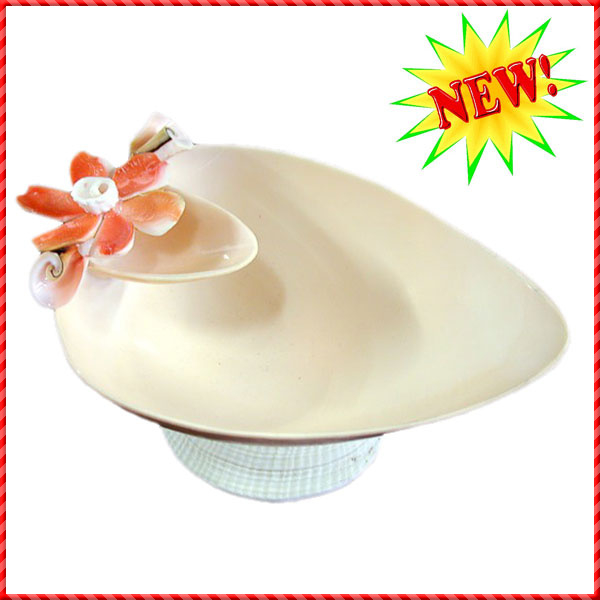 conch shell-030