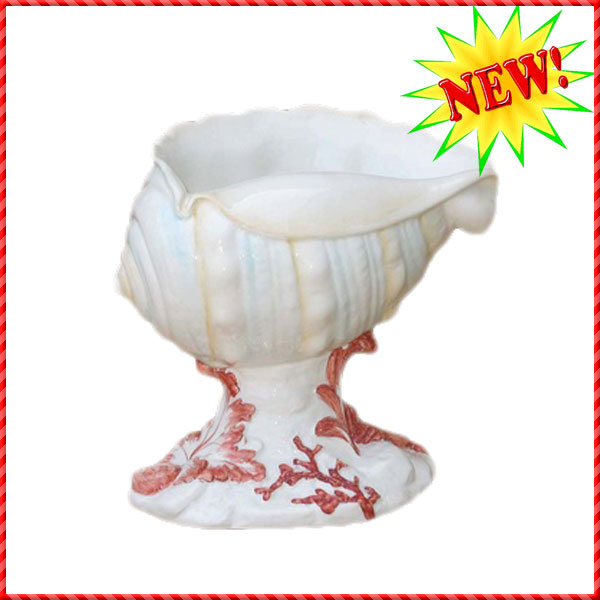 conch shell-033