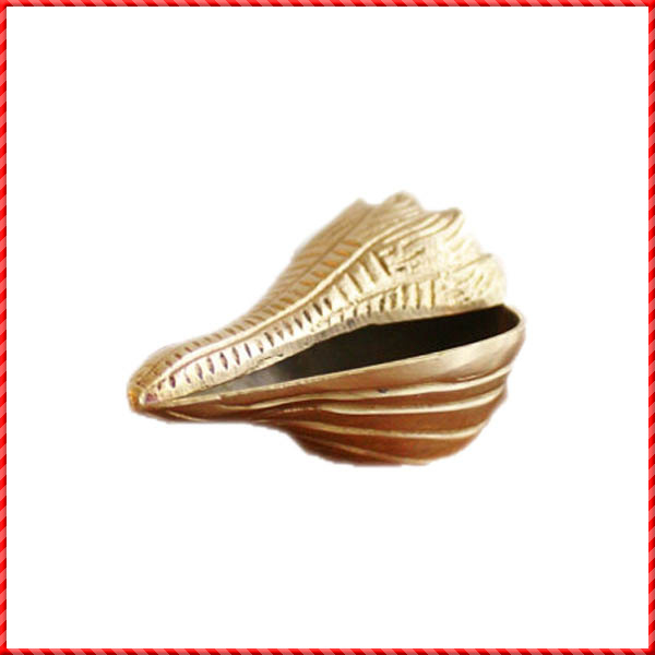 conch shell-036