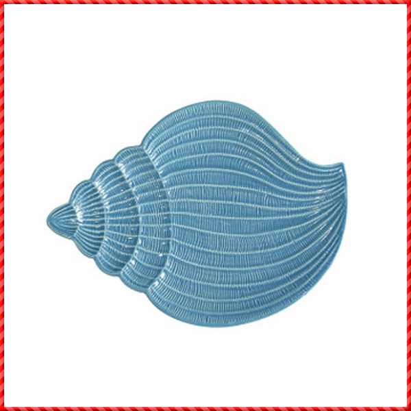 conch shell-038