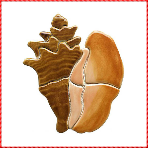 conch shell-040
