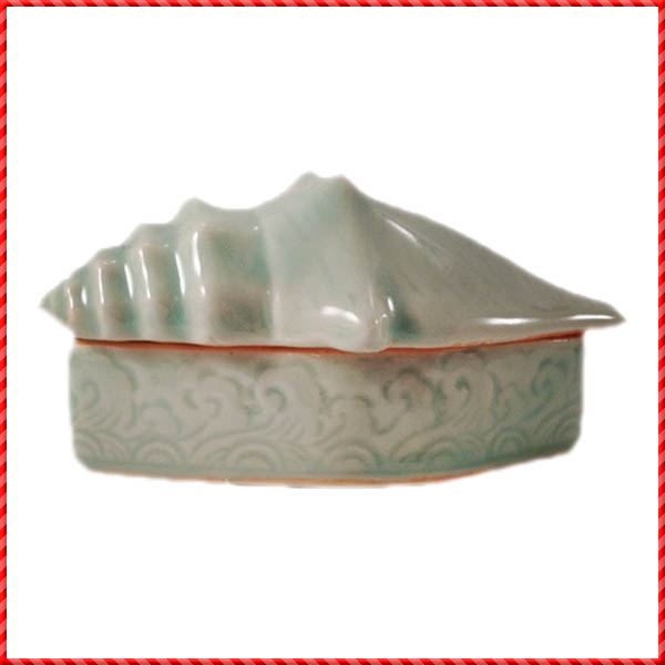 conch shell-041