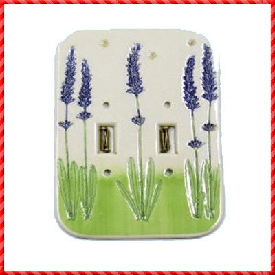 switch cover plate-031