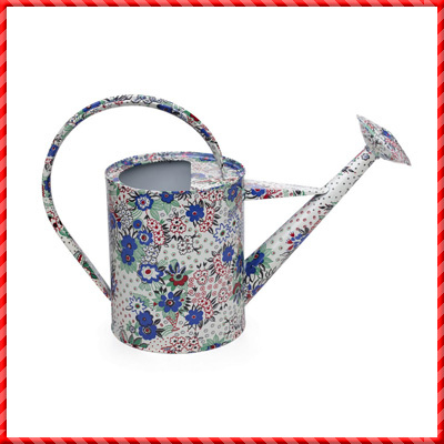 watering can-019