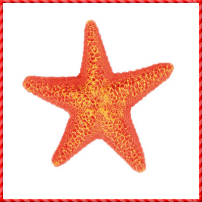Aquarium Decors-025