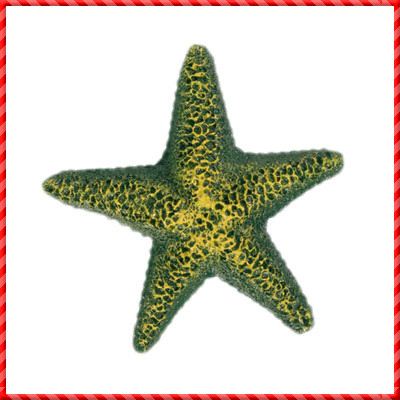 Aquarium Decors-026