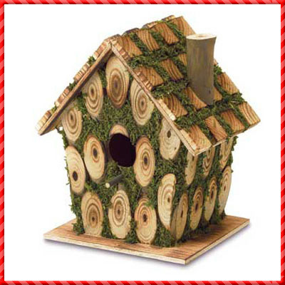 bird house-012