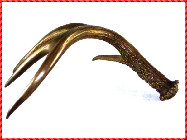 Deer Antler-018