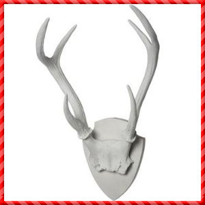 Deer Antler-020