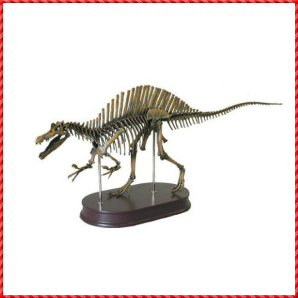 dinosaur skeleton-006