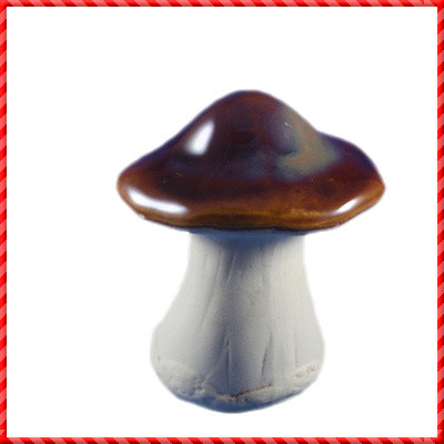 garden mushroom-015