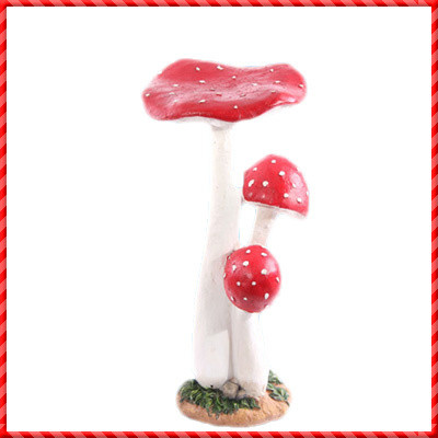garden mushroom-022